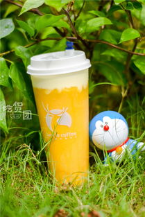 火爆全福州的小鹿茶測(cè)評(píng)來(lái)了！一口氣喝了5杯，你的夏日飲品要更新了